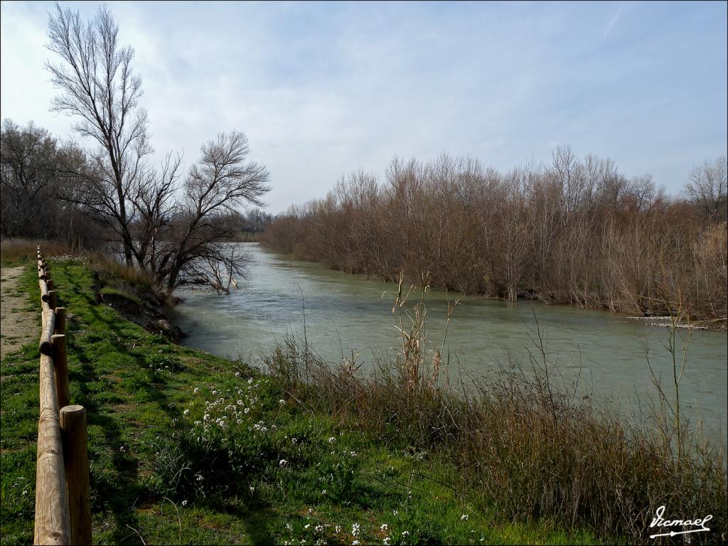 Foto de Zaragoza (Aragón), España