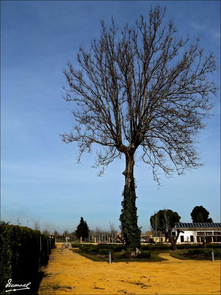 Foto de La Alfranca (Zaragoza), España