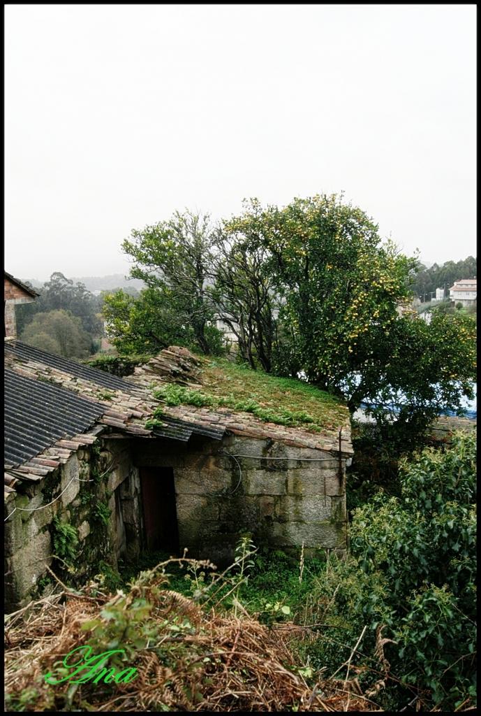 Foto de Marcón (Pontevedra), España