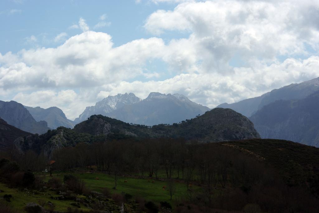 Foto de Cabrales (Asturias), España