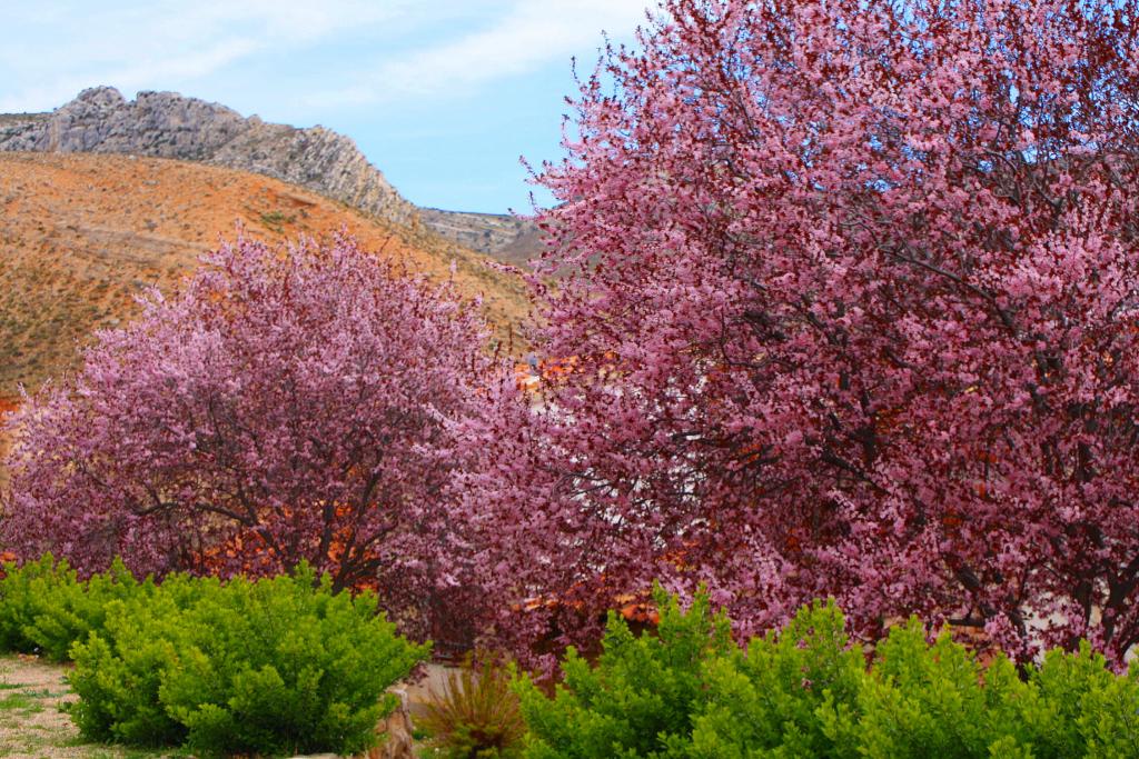 Foto de Molinos (Teruel), España