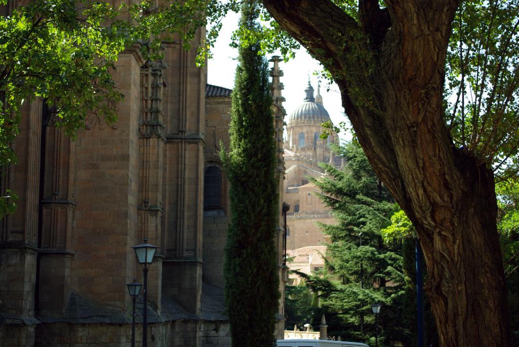 Foto de Salamanca (Castilla y León), España