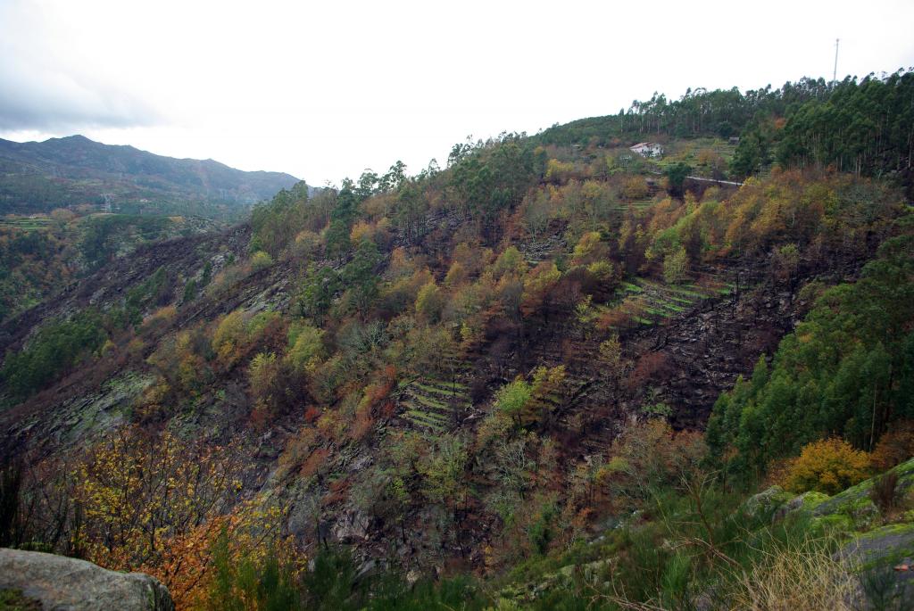 Foto de Soajo, Portugal