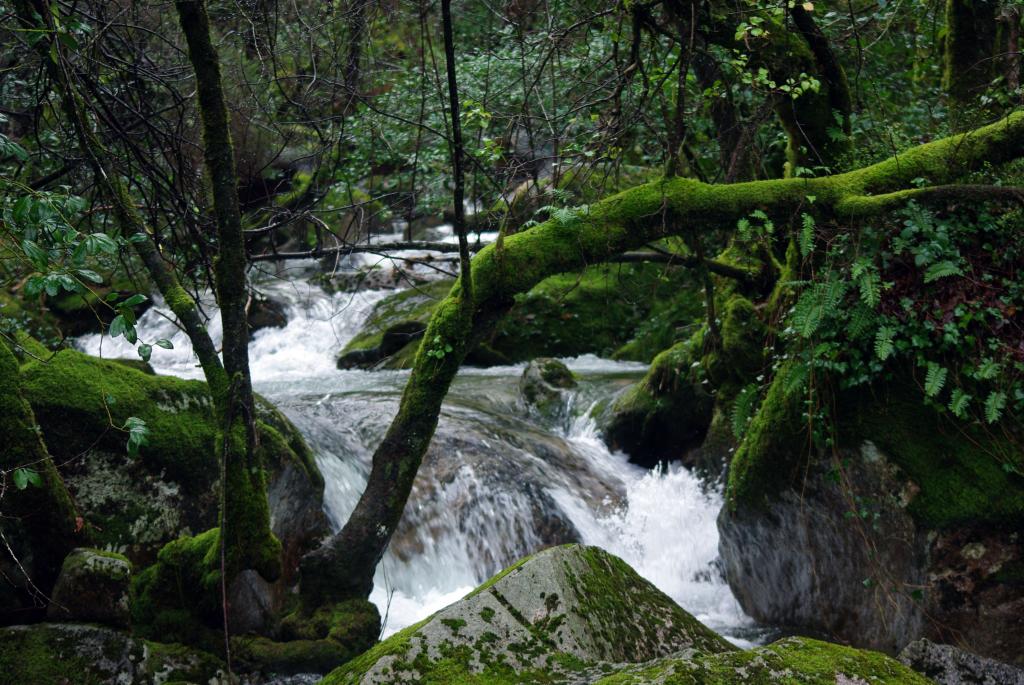 Foto de Serra do Geres, Portugal