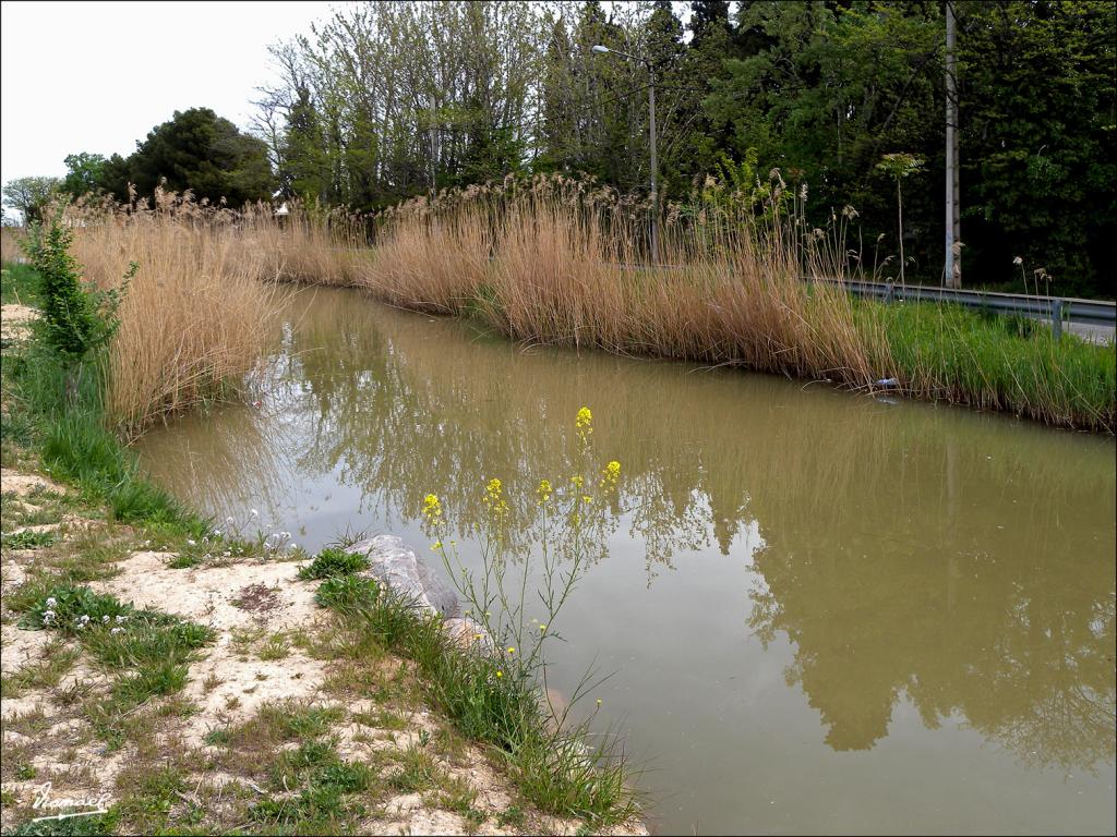 Foto de Zaragoza (Aragón), España