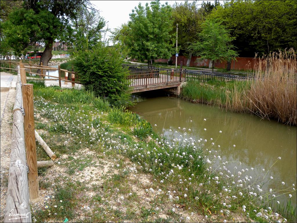 Foto de Zaragoza (Aragón), España