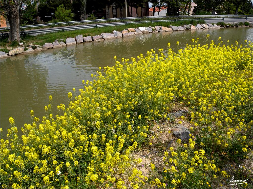 Foto de Zaragoza (Aragón), España