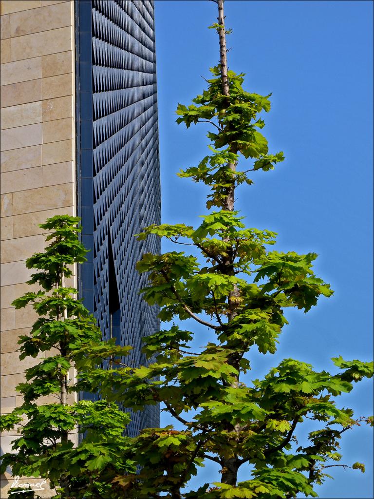 Foto de Zaragoza (Aragón), España