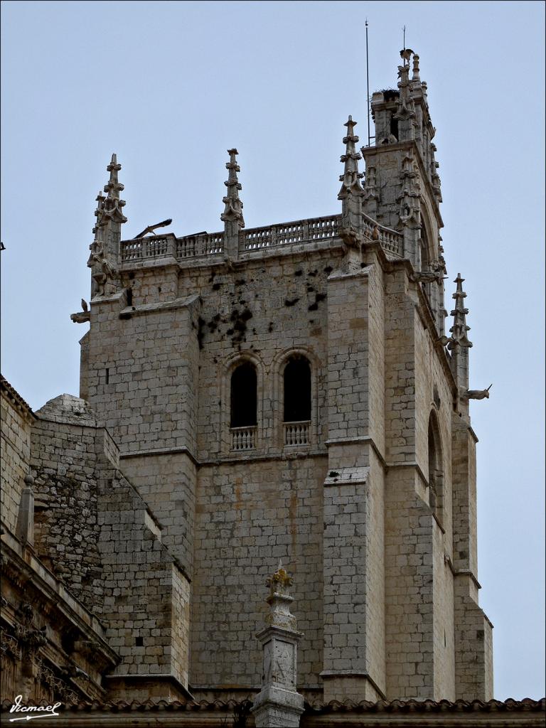 Foto de Palencia (Castilla y León), España