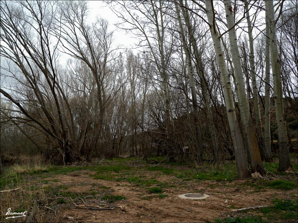 Foto de Somaen (Soria), España