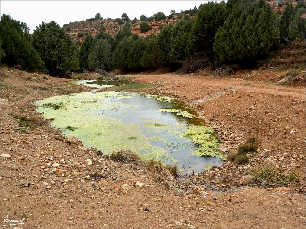 Foto de Alconchel de Ariza (Zaragoza), España