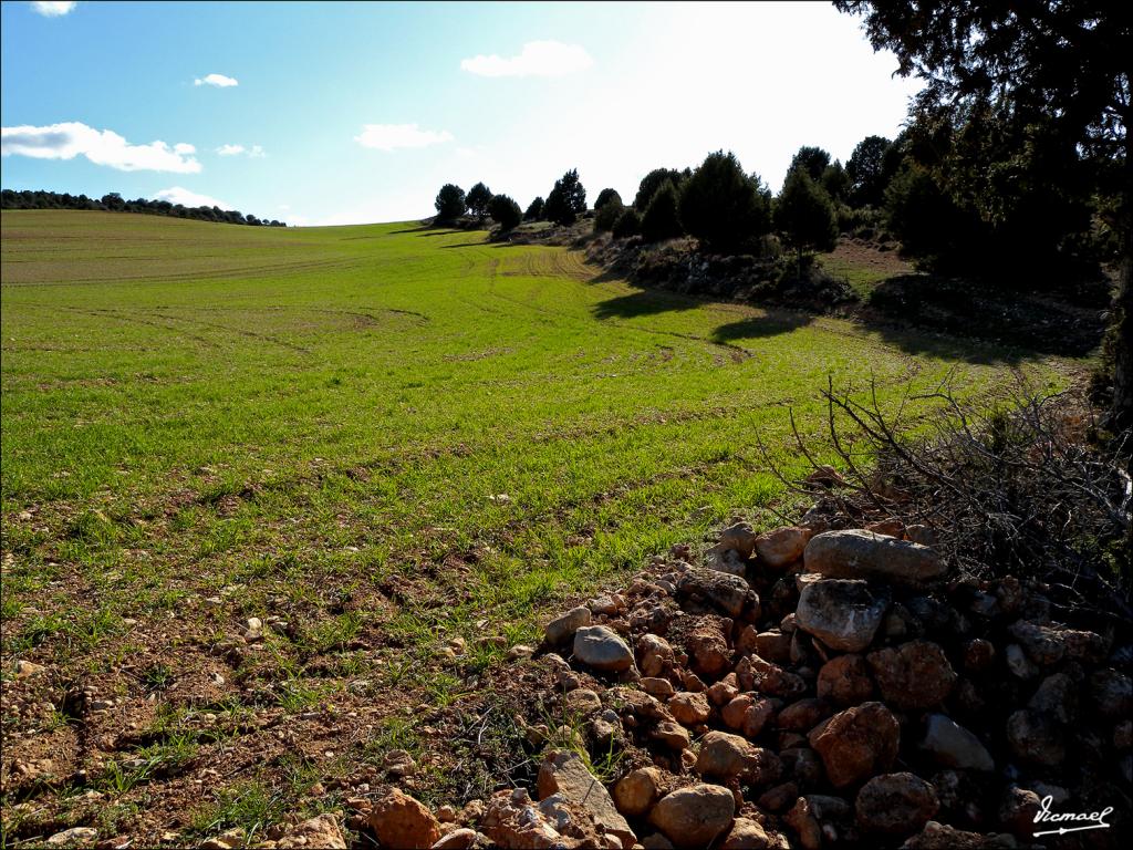 Foto de Alconchel de Ariza (Zaragoza), España