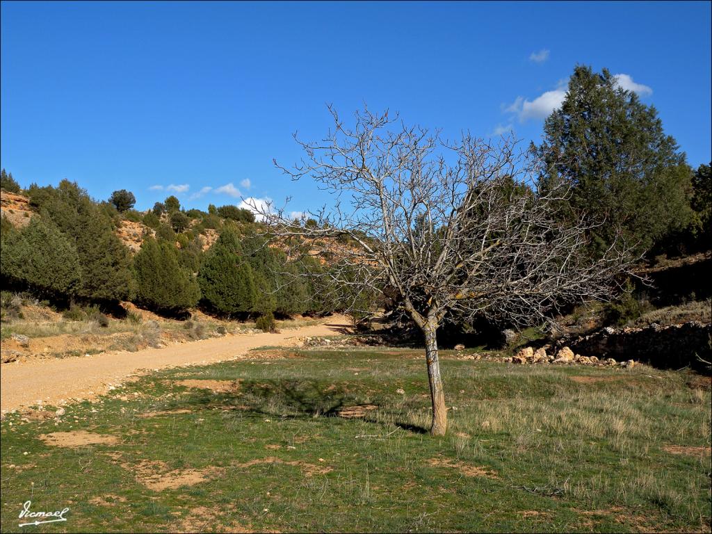 Foto de Alconchel de Ariza (Zaragoza), España