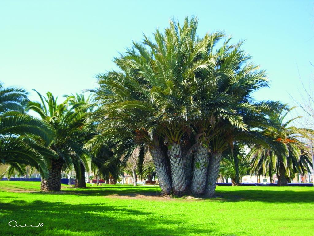 Foto de Cabañal (València), España