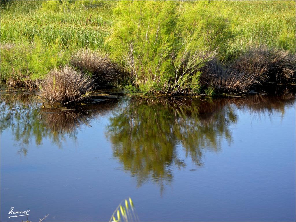 Foto de La Rabida (Huelva), España