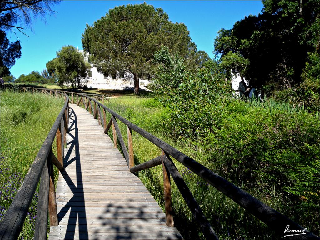 Foto de Almonte (Huelva), España