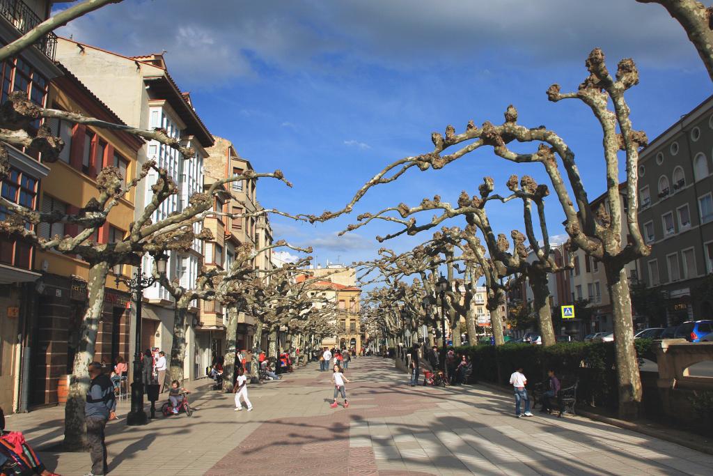 Foto de Santo Domingo de la Calzada (La Rioja), España