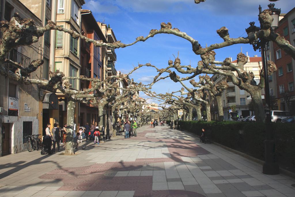 Foto de Santo Domingo de la Calzada (La Rioja), España