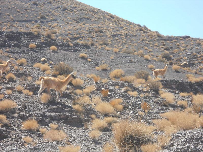 Foto de San Pedro de Atacama, Chile