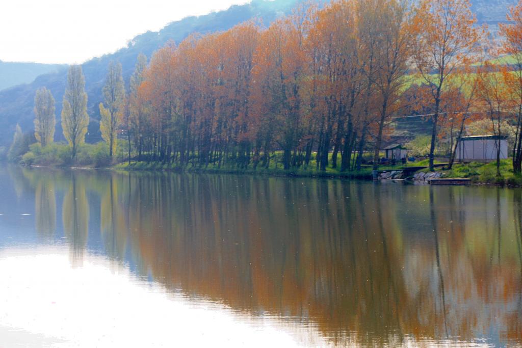 Foto de Alar del Rey (Palencia), España