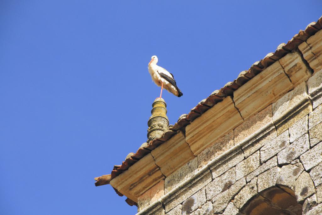 Foto de Herrera de Pisuerga (Palencia), España