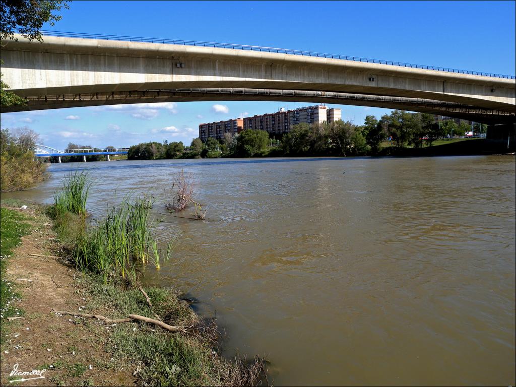 Foto de Zaragoza (Aragón), España