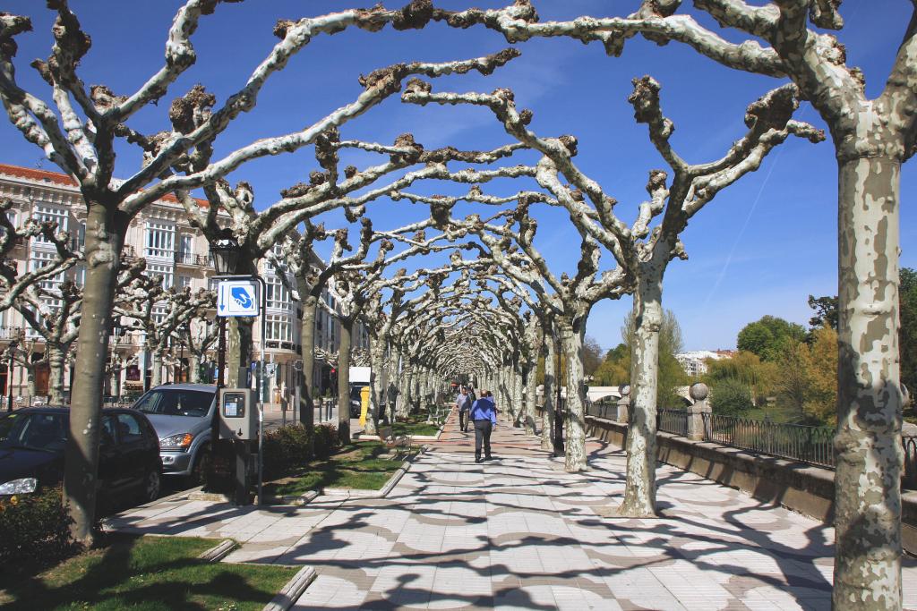 Foto de Burgos (Castilla y León), España