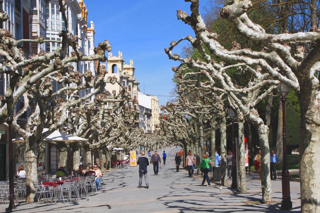 Foto de Burgos (Castilla y León), España