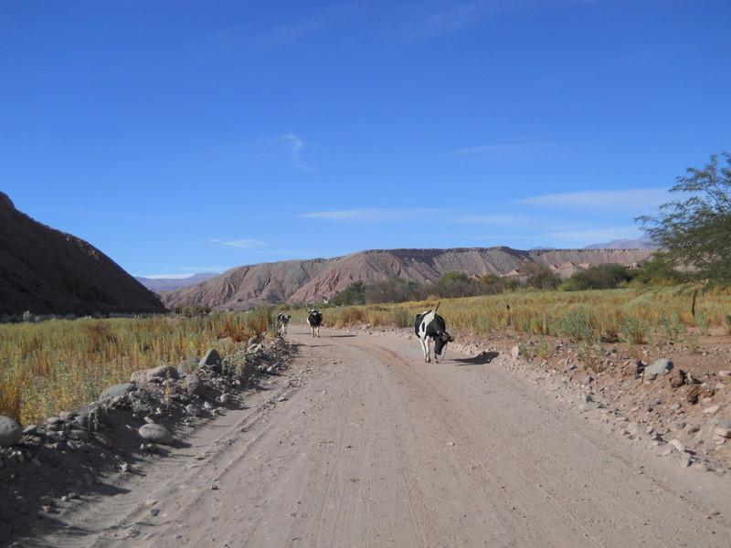 Foto de San Pedro de Atacama, Chile