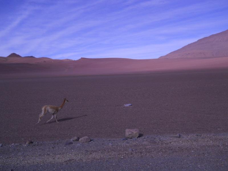 Foto de San Pedro de Atacama, Chile