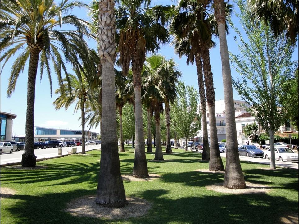 Foto de Sant Carles de la Ràpita (Tarragona), España