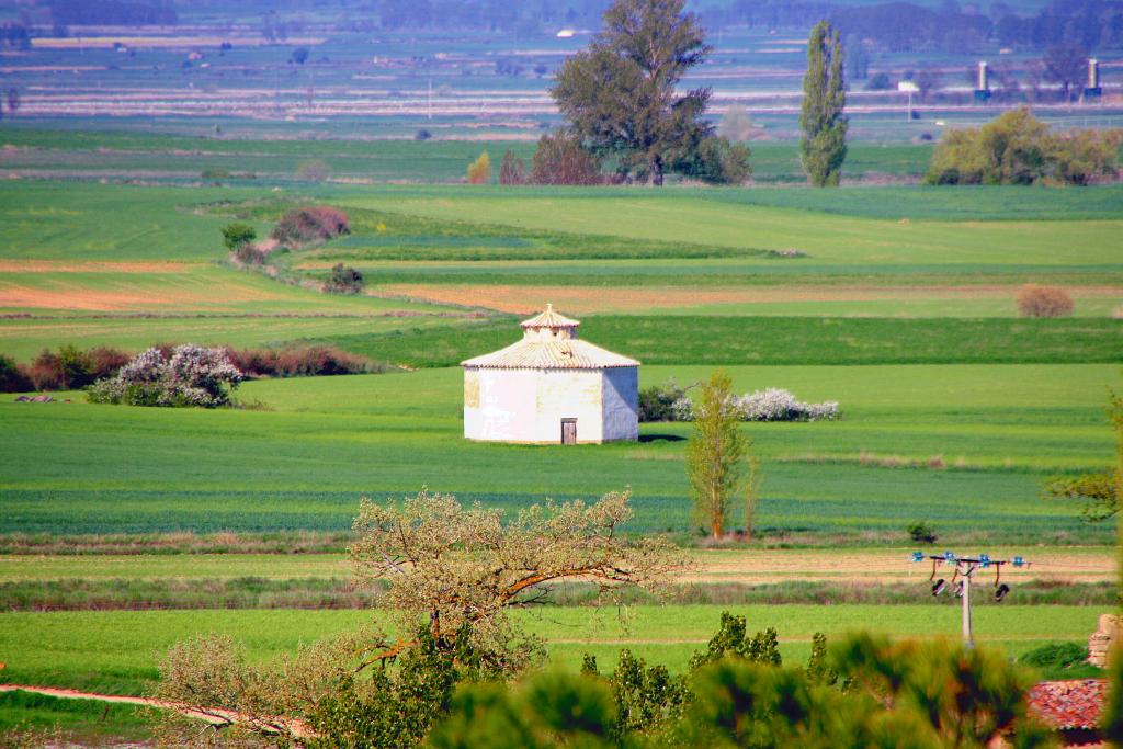 Foto de Támara de Campos (Palencia), España