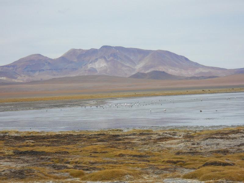 Foto de San Pedro de Atacama, Chile