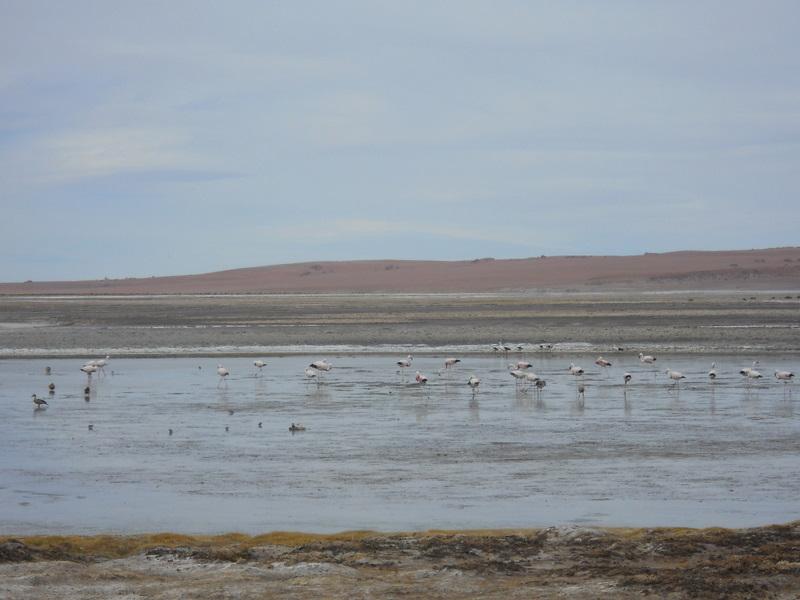 Foto de San Pedro de Atacama, Chile