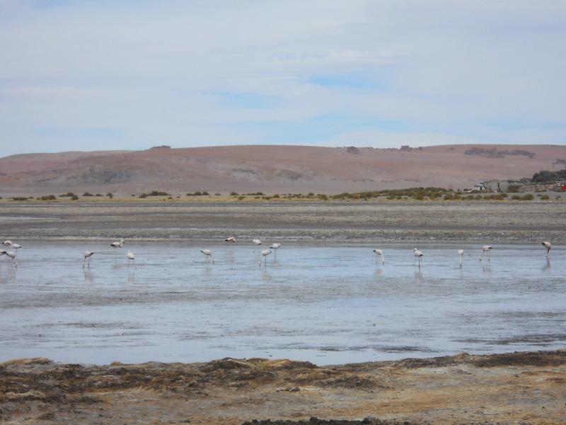 Foto de San Pedro de Atacama, Chile