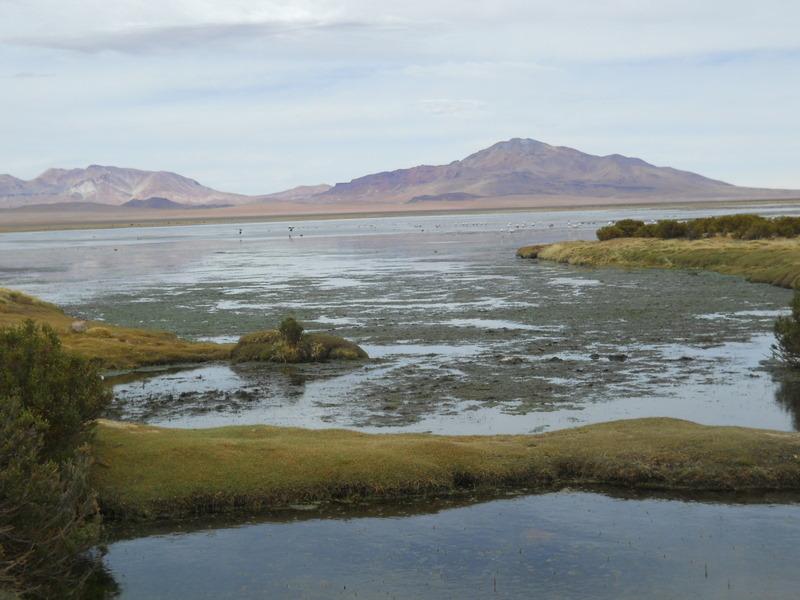 Foto de San Pedro de Atacama, Chile