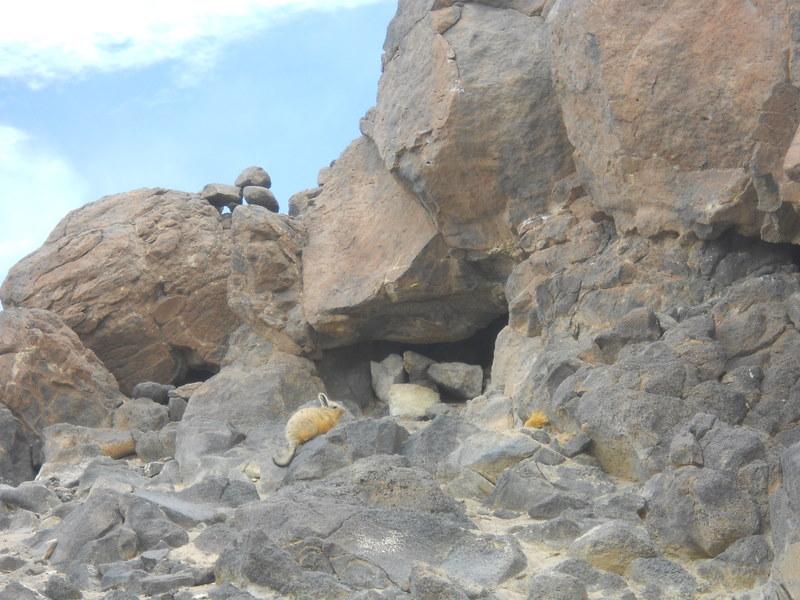 Foto de San Pedro de Atacama, Chile