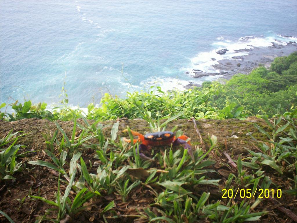 Foto de Motezuma (Puntarenas), Costa Rica