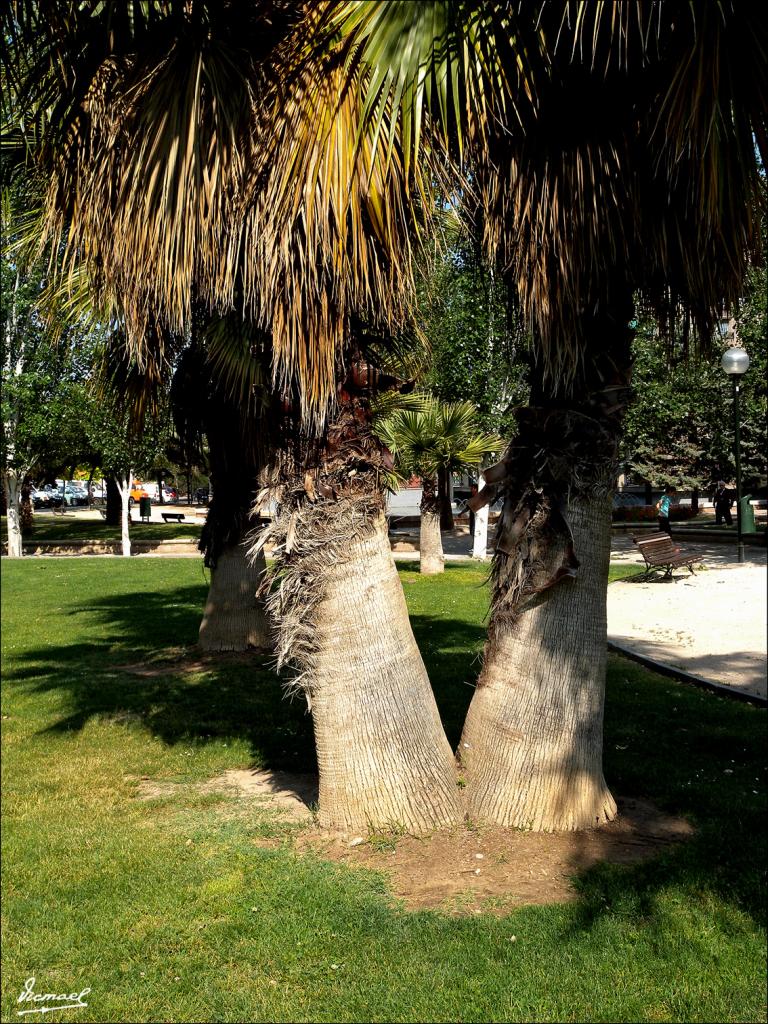 Foto de Zaragoza (Aragón), España