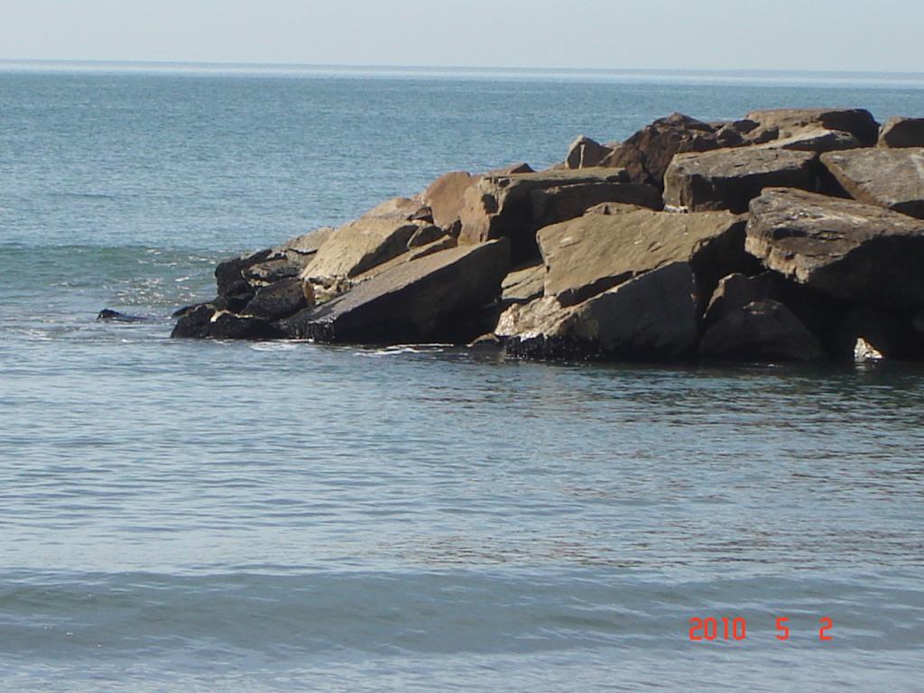 Foto de Mar del Plata (Buenos Aires), Argentina