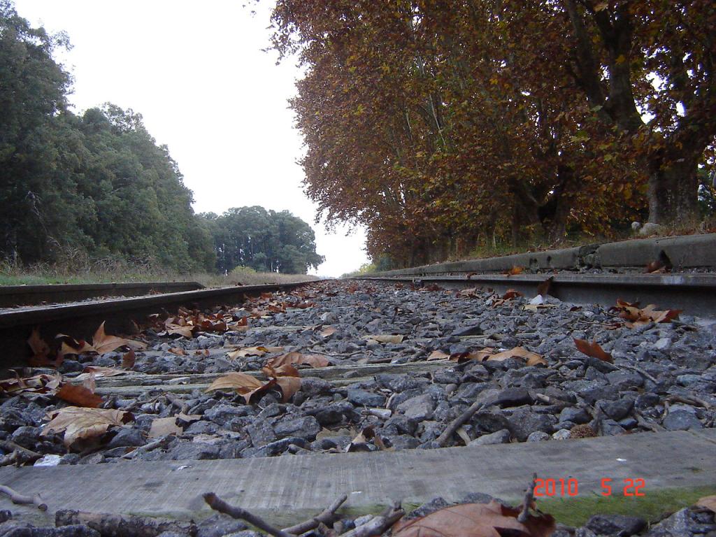 Foto de Theobald (Santa Fe), Argentina