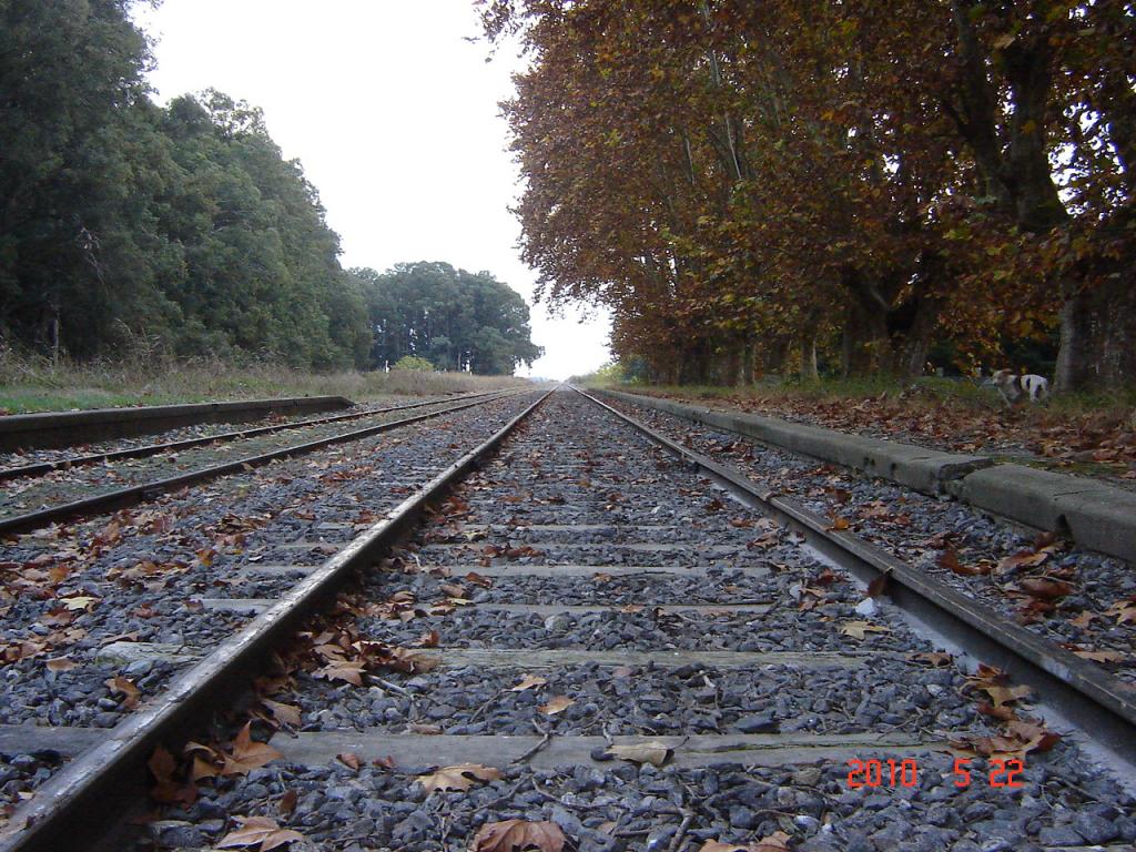 Foto de Theobald (Santa Fe), Argentina