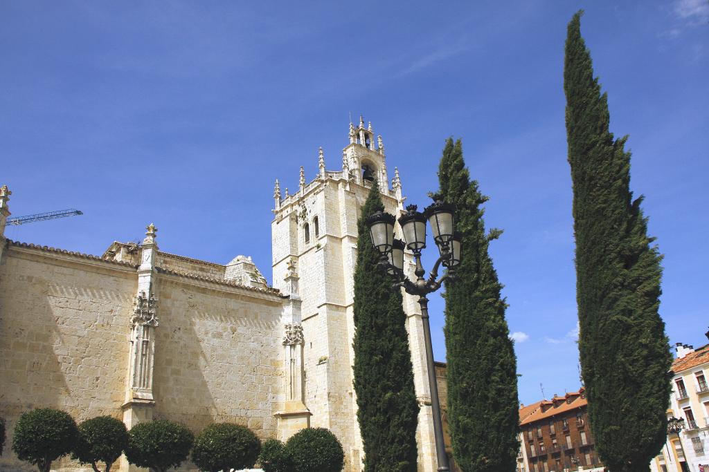 Foto de Palencia (Castilla y León), España