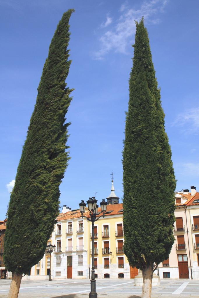 Foto de Palencia (Castilla y León), España