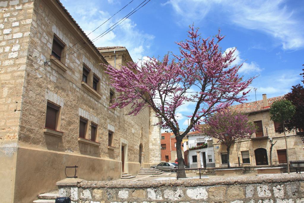 Foto de Dueñas (Palencia), España