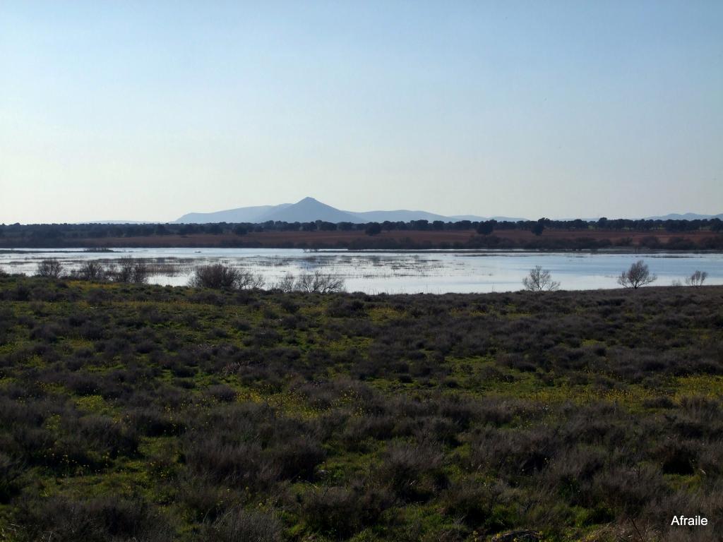 Foto de Daimiel (Ciudad Real), España