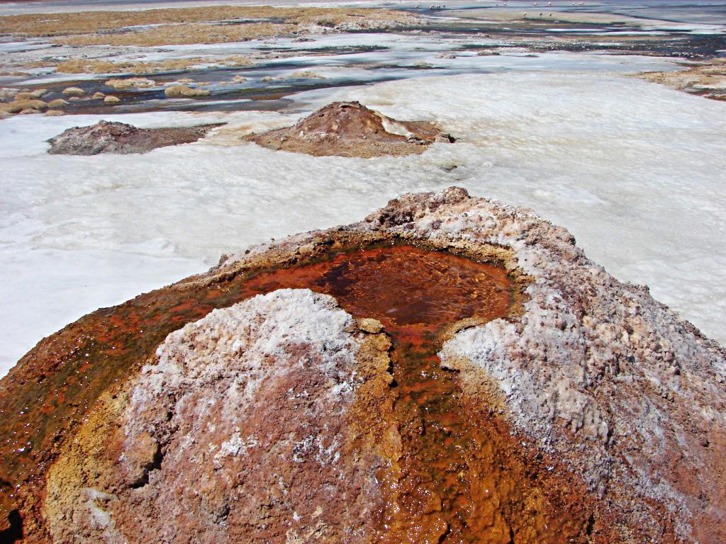 Foto de Laguna Brava, Argentina