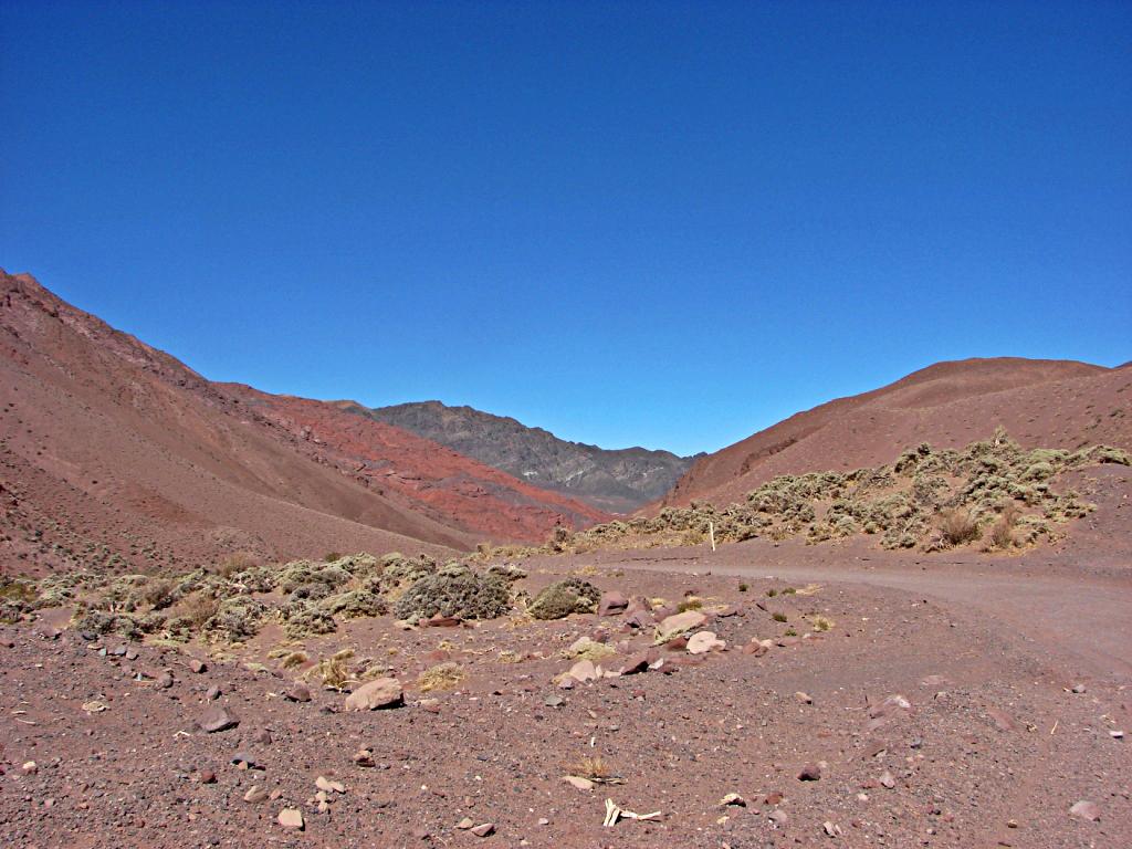 Foto de Laguna Brava, Argentina