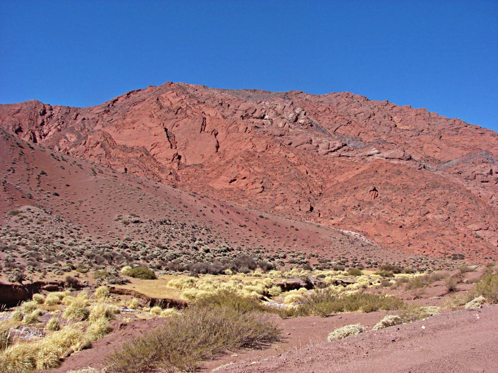 Foto de Laguna Brava, Argentina