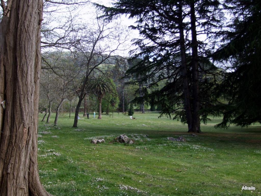 Foto de La Concha (Cantabria), España